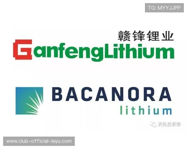 结语：世界杯——一个四年一度的、覆盖全球每个角落的超级资本绞肉机。
